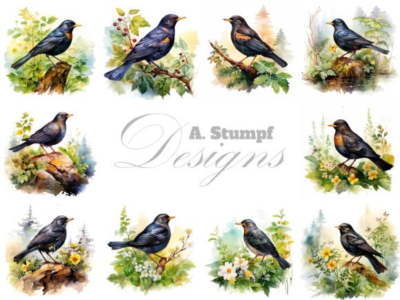 Download Blackbird Clipart Watercolor Bird Bundle - Bird clipart Collection