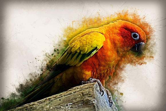 Download Grunge Style Bird Printable Graphics 08 - Graphic Collection