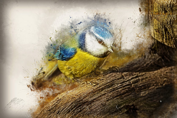 Download Grunge Style Bird Printable Graphics 05 - Graphic Collection
