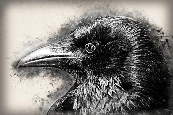 Download Grunge Style Bird Printable Graphics 06 - Graphic Collection