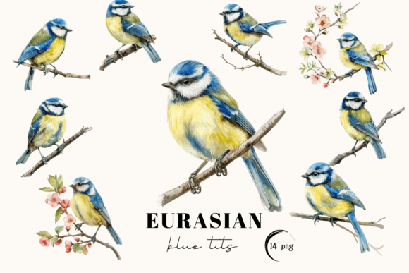 Download Blue Tit Bird Clipart, Eurasian Blue Tit - Bird clipart Collection